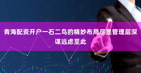 青海配资开户一石二鸟的精妙布局尽显管理层深谋远虑至此