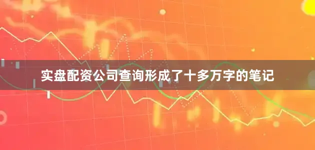 实盘配资公司查询形成了十多万字的笔记