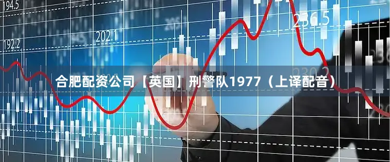 合肥配资公司【英国】刑警队1977（上译配音）