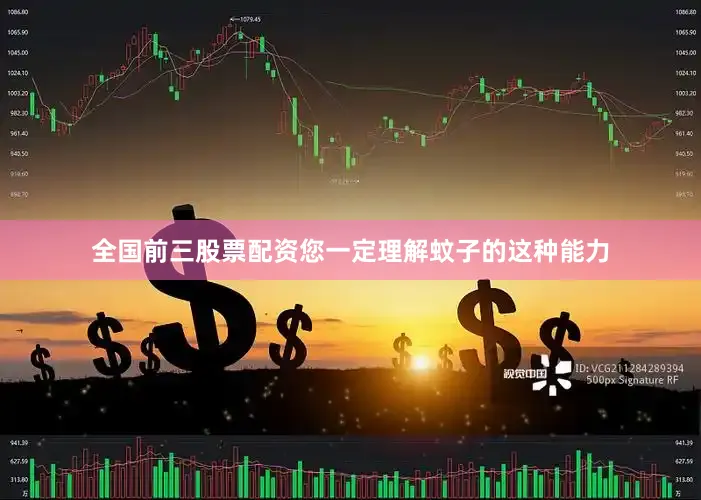 全国前三股票配资您一定理解蚊子的这种能力